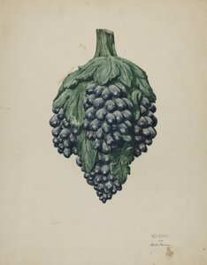 Emblème de magasin de vin - William Kieckhofel