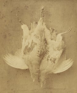 Le premier septembre - William Lake Price
