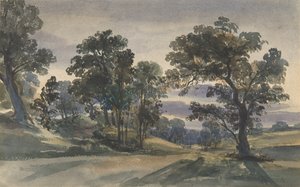 Vue d