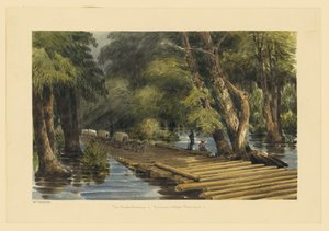 Pont supérieur de Sumner - William MIlvaine