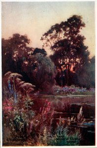 Jardin du Worcester College - William Matthison