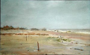 Scène de plage