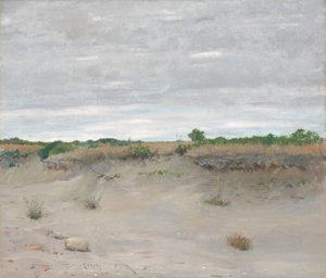 Sables balayés par le vent