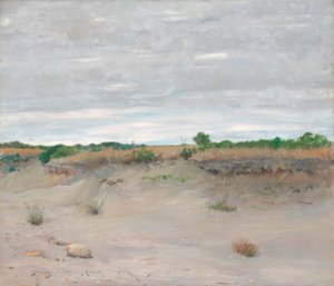 Plage de sable balayée par le vent