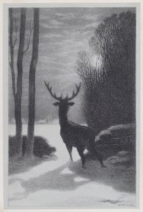 Cerf au clair de lune