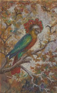 Perroquet, 1909