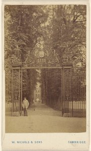 Trinity Cole Avenue - William Nichols and Sons