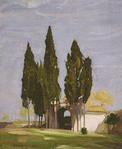 Cyprès, Colline Palatine, Rome