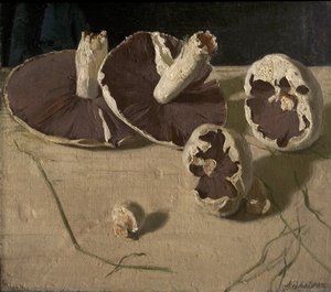 Champignons
