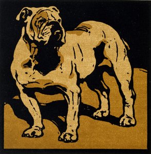 Le Bulldog Britannique, de 