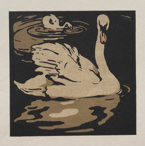 Le Livre Carré des Animaux : Le Beau Cygne