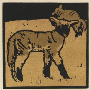 Le Livre Carré des Animaux : L