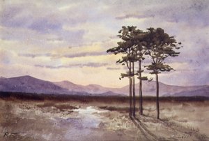Coucher de soleil, Comté de Sligo - William Percy French