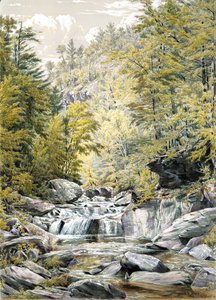 Catskill Clove, 1856 - William Rickarby Miller