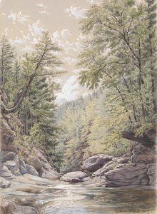 Catskill Clove à Palingsville, 1856 - William Rickarby Miller