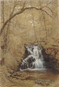 Chutes indiennes, Indian Brook, Cold Springs, New York - William Rickarby Miller