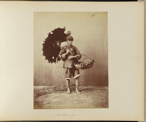 John Chinaman Type - William Saunders