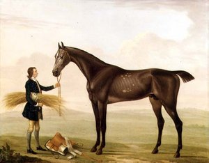 Un Étalon Gris Pommelé tenu par un Palefrenier - William Shaw