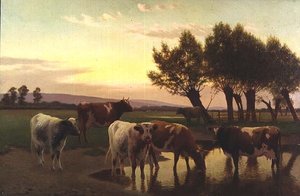 Soir près d