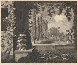 Les abeilles dégénérées - William Skelton