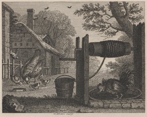 La vieille poule et le coq - William Skelton