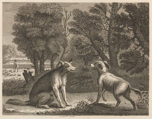 Le Chien du Berger et le Loup - William Skelton