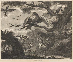 Le Vautour, le Moineau et autres oiseaux - William Skelton