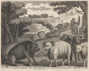 Le sanglier et le bélier - William Skelton