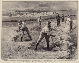 Un privilège convoité, les gangs de condamnés fauchant le foin - William Small