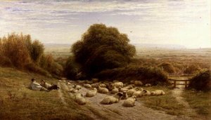 Le côté ensoleillé de la vie d