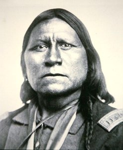 Ours blanc - William Soule