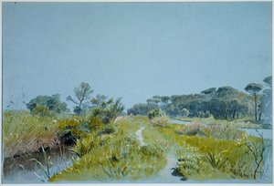  - William Stanley Haseltine