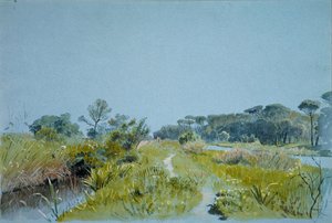 Castel Fusano près de Rome, vers 1885 - William Stanley Haseltine