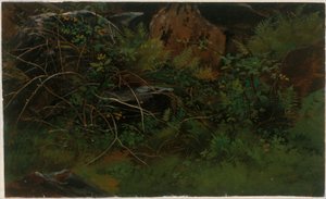  - William Stanley Haseltine