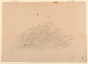 Étude de feuillage - William Stanley Haseltine