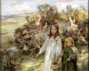 Cueillette de mûres