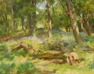 Scène boisée - William Stewart MacGeorge