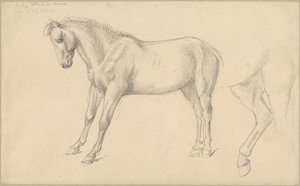 Études d