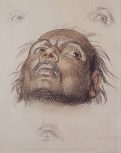 Étude de la tête d