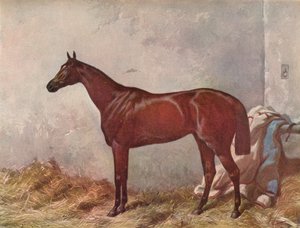 Hermit : vainqueur des Derby Stakes à Epsom, 1867, 1903 - William Summers