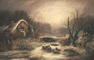 Paysage boisé d