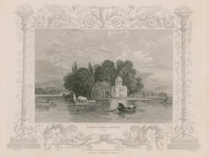 Vue près de Henley - William Tombleson