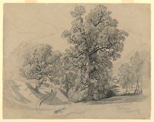 Paysage, Lauterbrunnen, Suisse - William Trost Richards