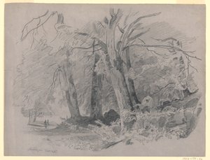 Paysage, Meiringen, Suisse - William Trost Richards