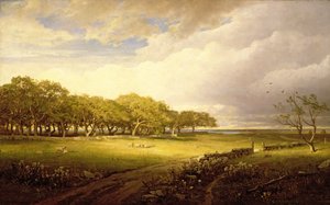Vieux verger à Newport