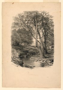 Piscine dans les bois - William Trost Richards