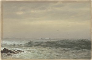 Rochers et vagues déferlantes