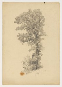 Étude de feuillage - William Trost Richards