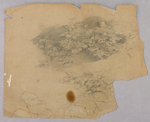 Étude de feuillage - William Trost Richards