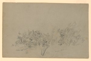 Étude de Feuillage - William Trost Richards